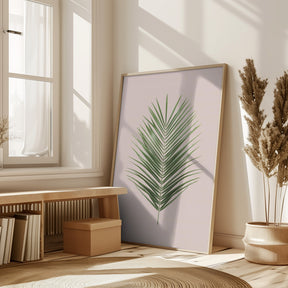 Palm Leaf Blush Poster