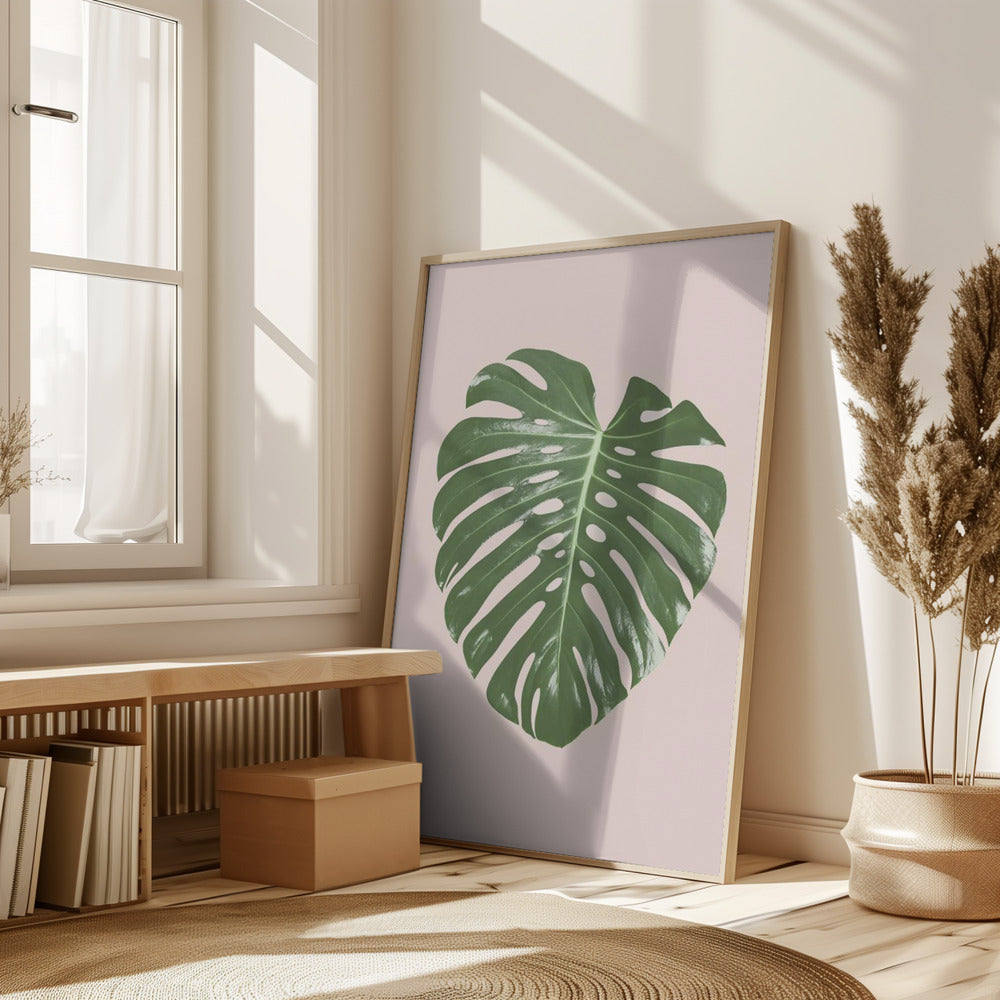 Monstera Leaf Blush Poster