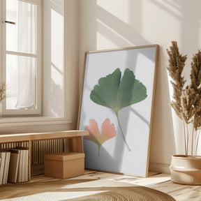 Pastel Ginkgo Poster