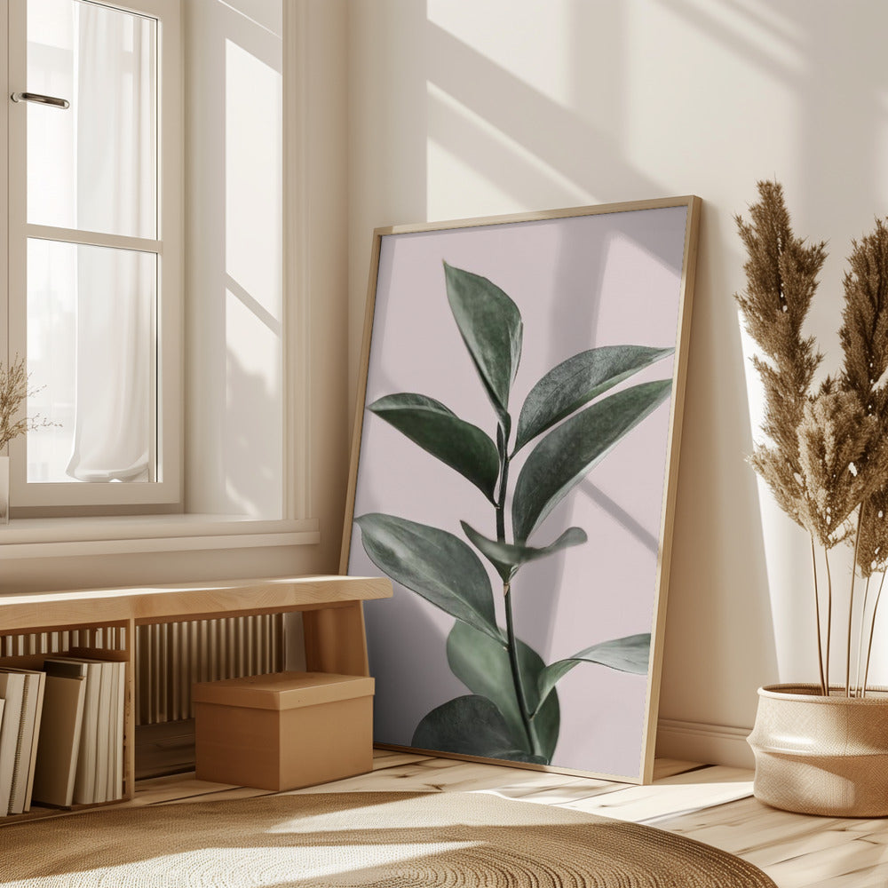 Foliage on Pink Poster