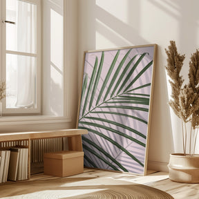 Palm Leaf Shadow Poster