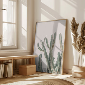 Sunrise Cactus Poster