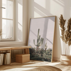 Pink Saguaro Poster