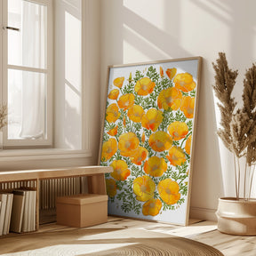 Gold accented California poppies Poster