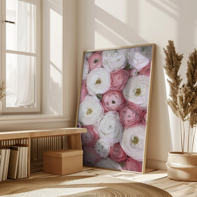 Scattered ranunculus in muted pink I Poster