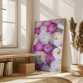 Scattered ranunculus in pink I Poster