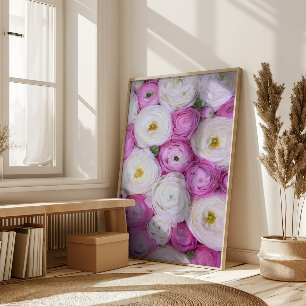 Scattered ranunculus in pink II Poster