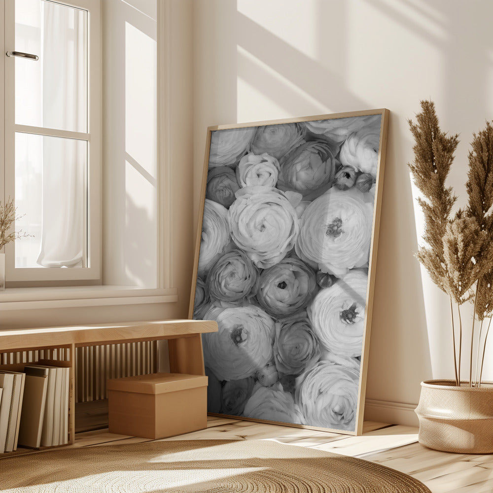 Scattered ranunculus grayscale II Poster