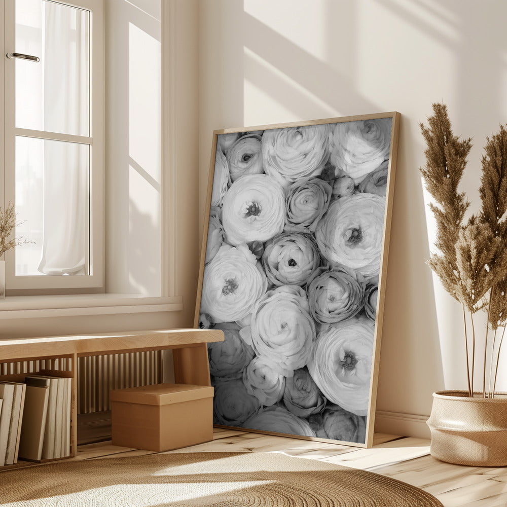 Scattered ranunculus grayscale I Poster