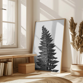 Gray fern leaf Poster