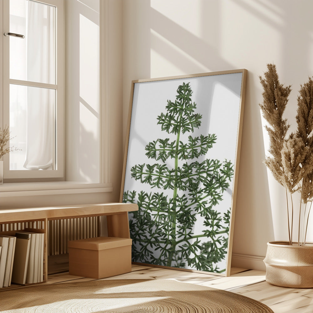 Green dainty leaves Poster