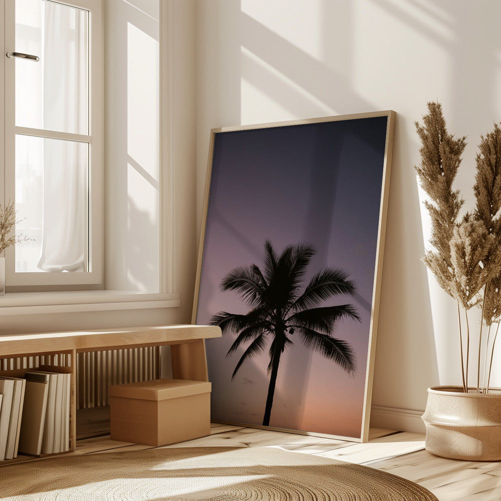 Costa Rica Palm Tree Poster