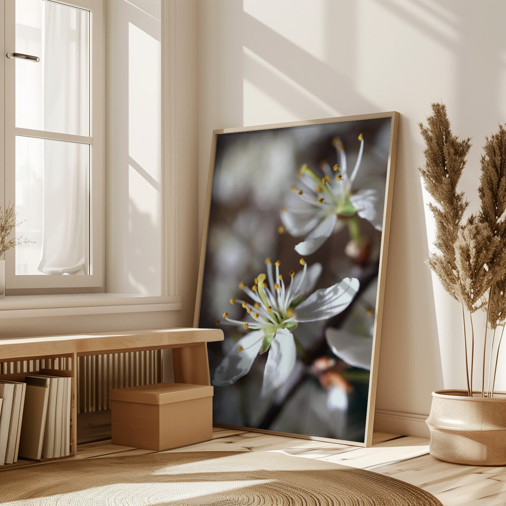 Spring blooms I Poster