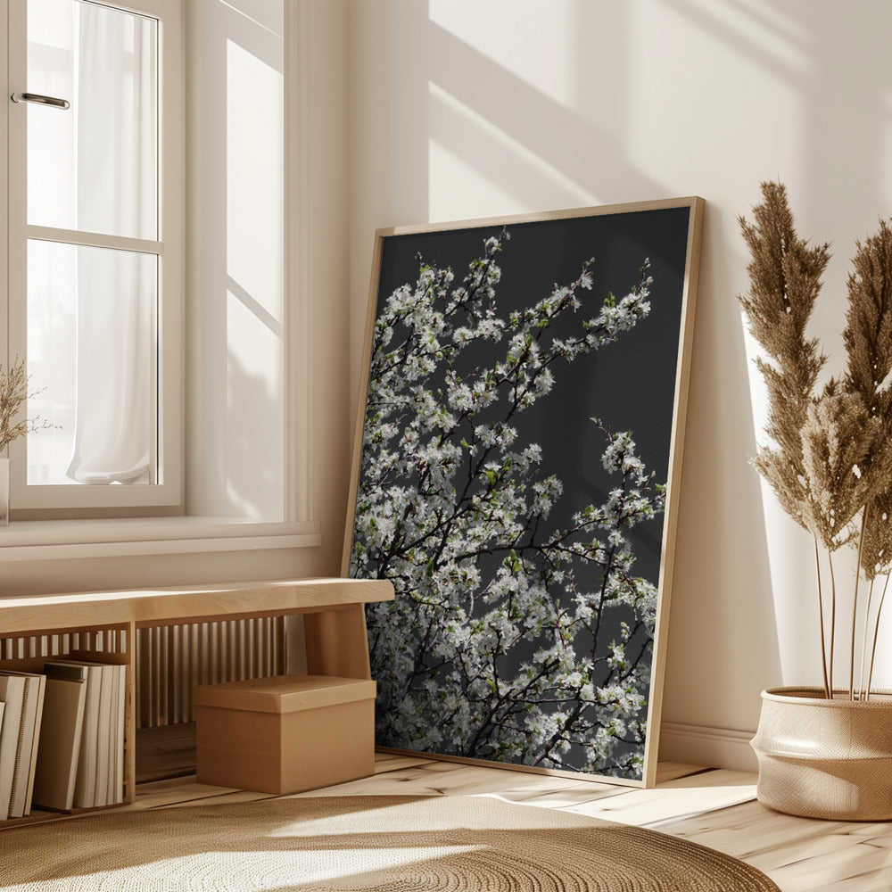 Spring branches Poster