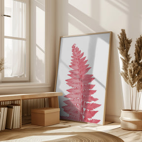 Pink fern leaf Poster