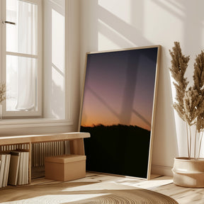 Dune Grass Sunset Poster