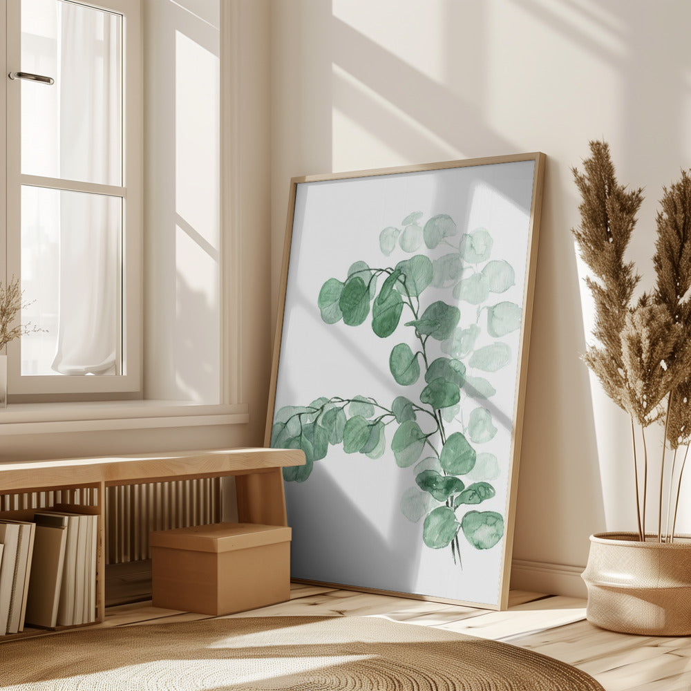 Watercolor silver dollar eucalyptus Poster