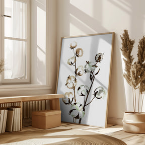 Watercolor cotton branch II Poster