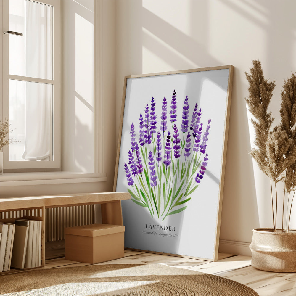 Lavender I Poster