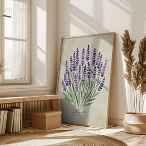 Lavender vintage Poster