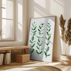 Watercolor eucalyptus parvifolia Poster