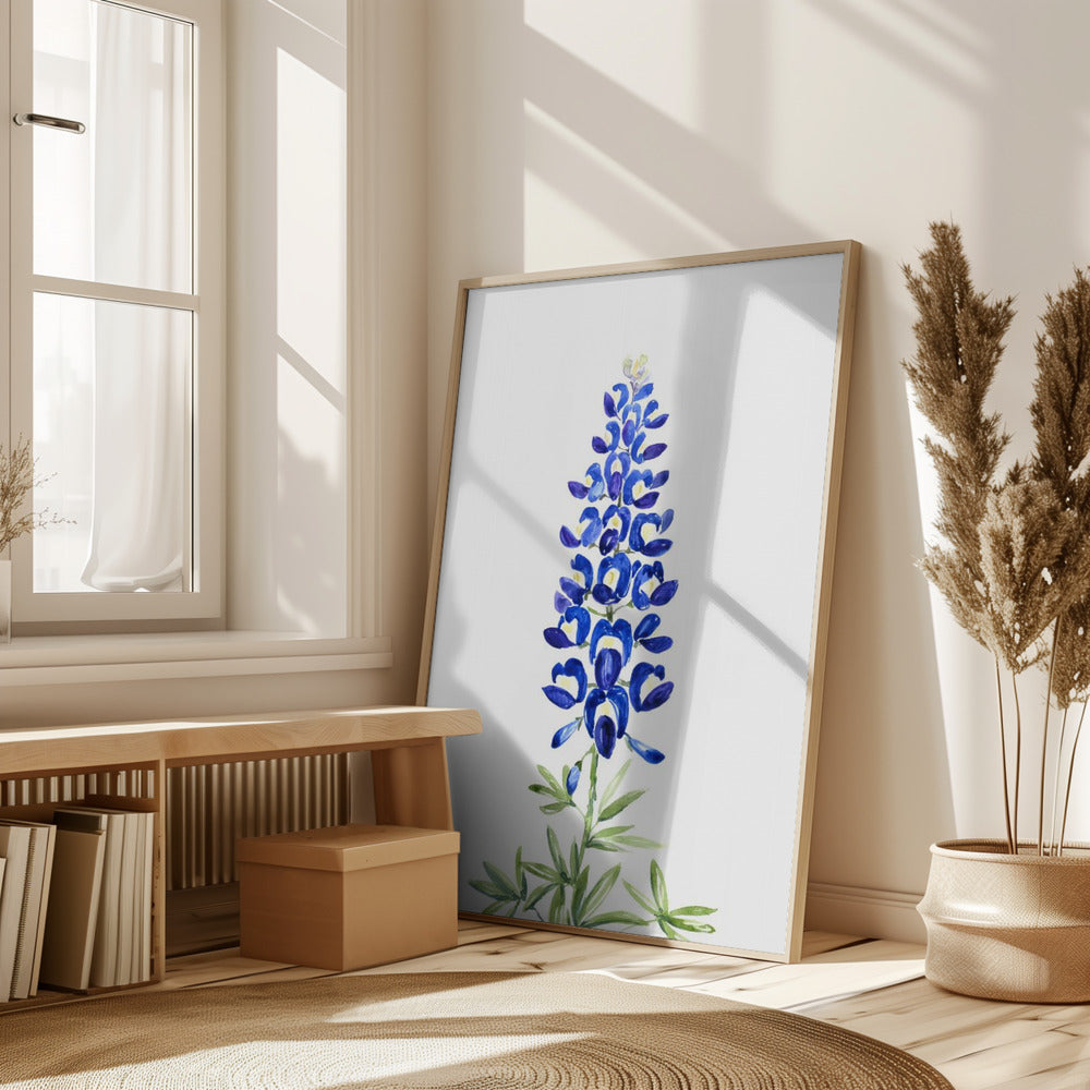 Watercolor Texas bluebonnet Poster