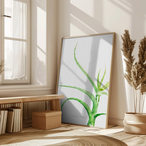 Watercolor aloe vera Poster