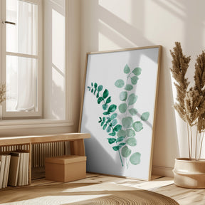 Two eucalyptus branches Poster