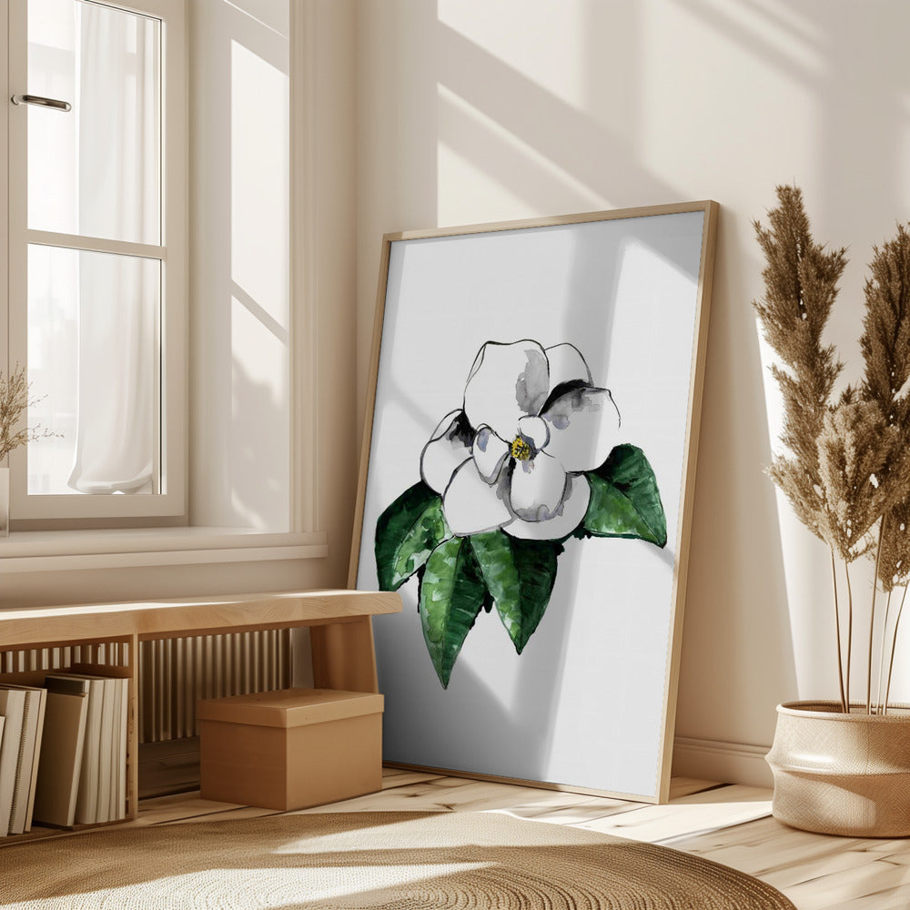 White magnolia Poster