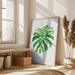 Monstera Leaf Poster