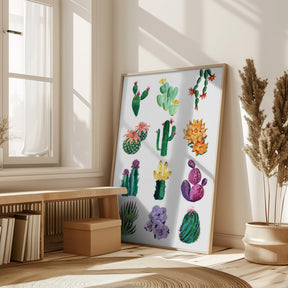 Collection of cacti Poster