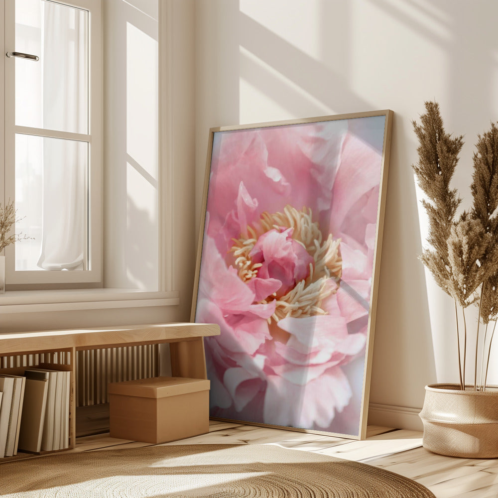 Blush peony I Poster