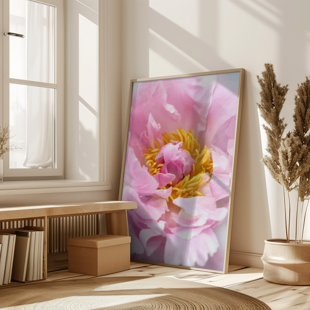 Pink peony I Poster