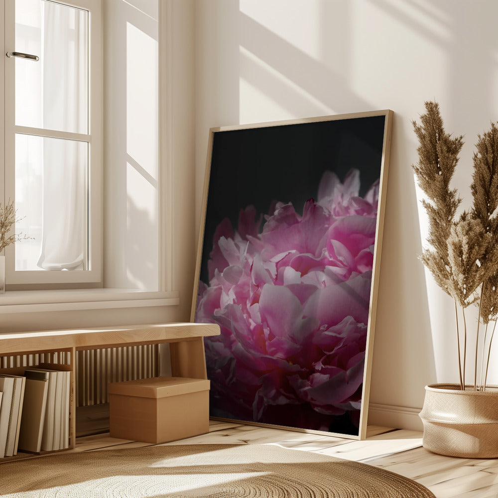 Moody pink peony I Poster