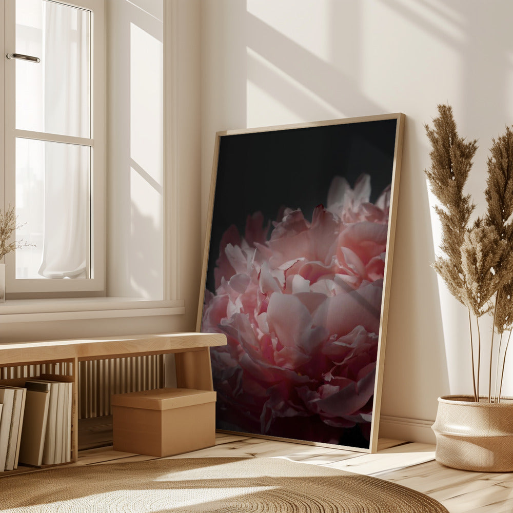 Moody blush peony I Poster