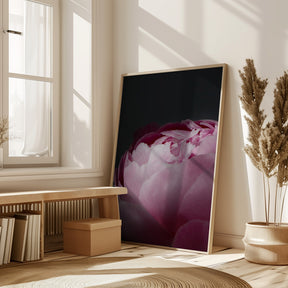 Moody pink peony II Poster