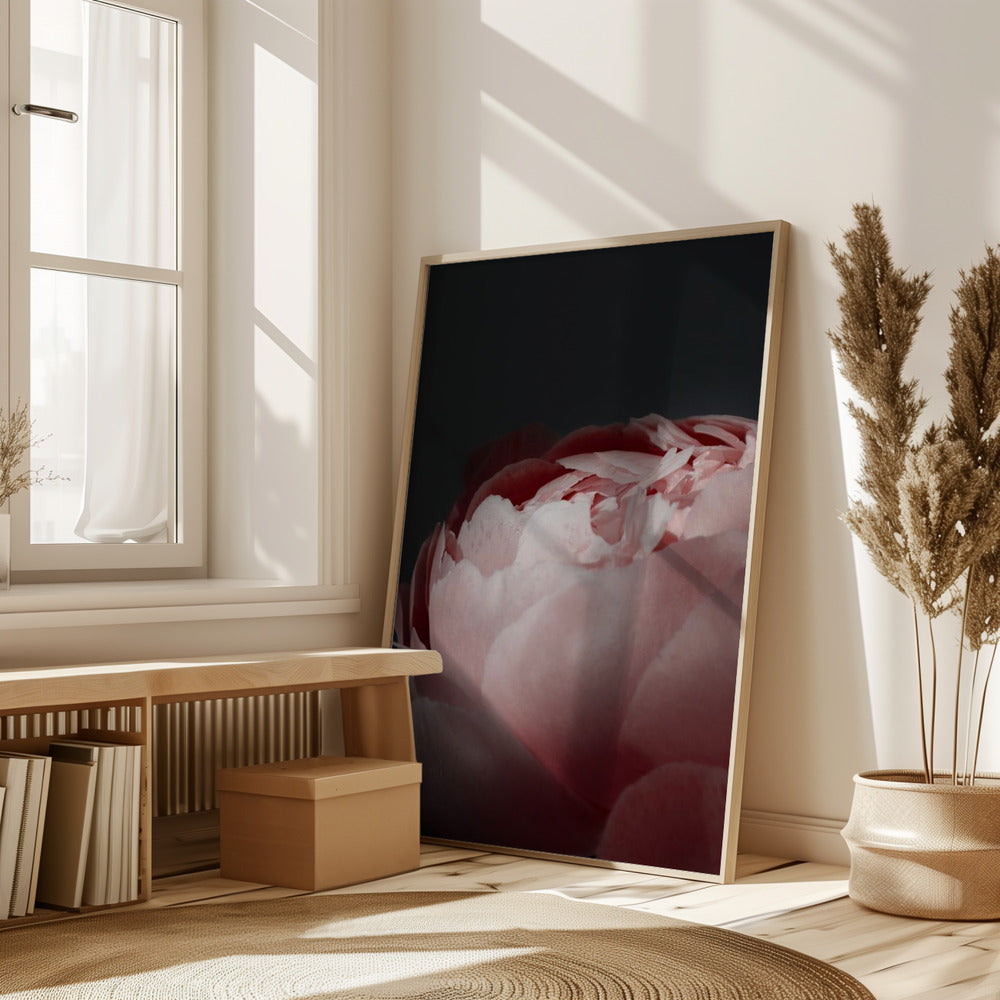 Moody blush peony II Poster