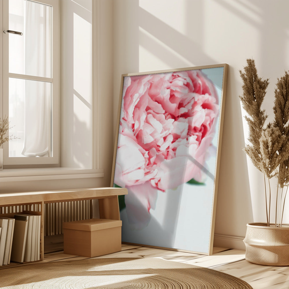 Blush peony VII Poster