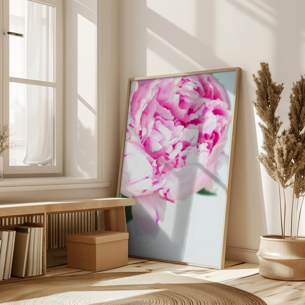 Pink peony VII Poster