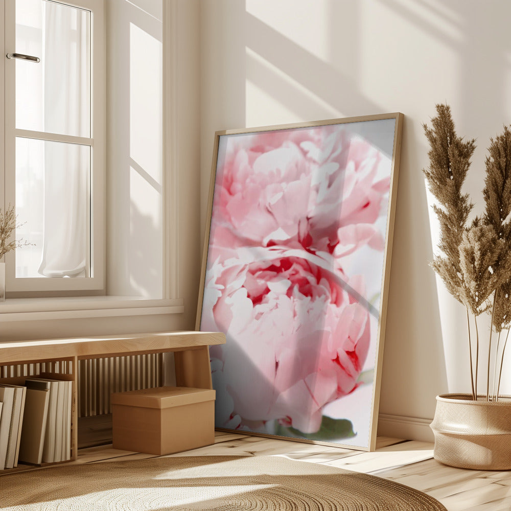 Bllush peony X Poster