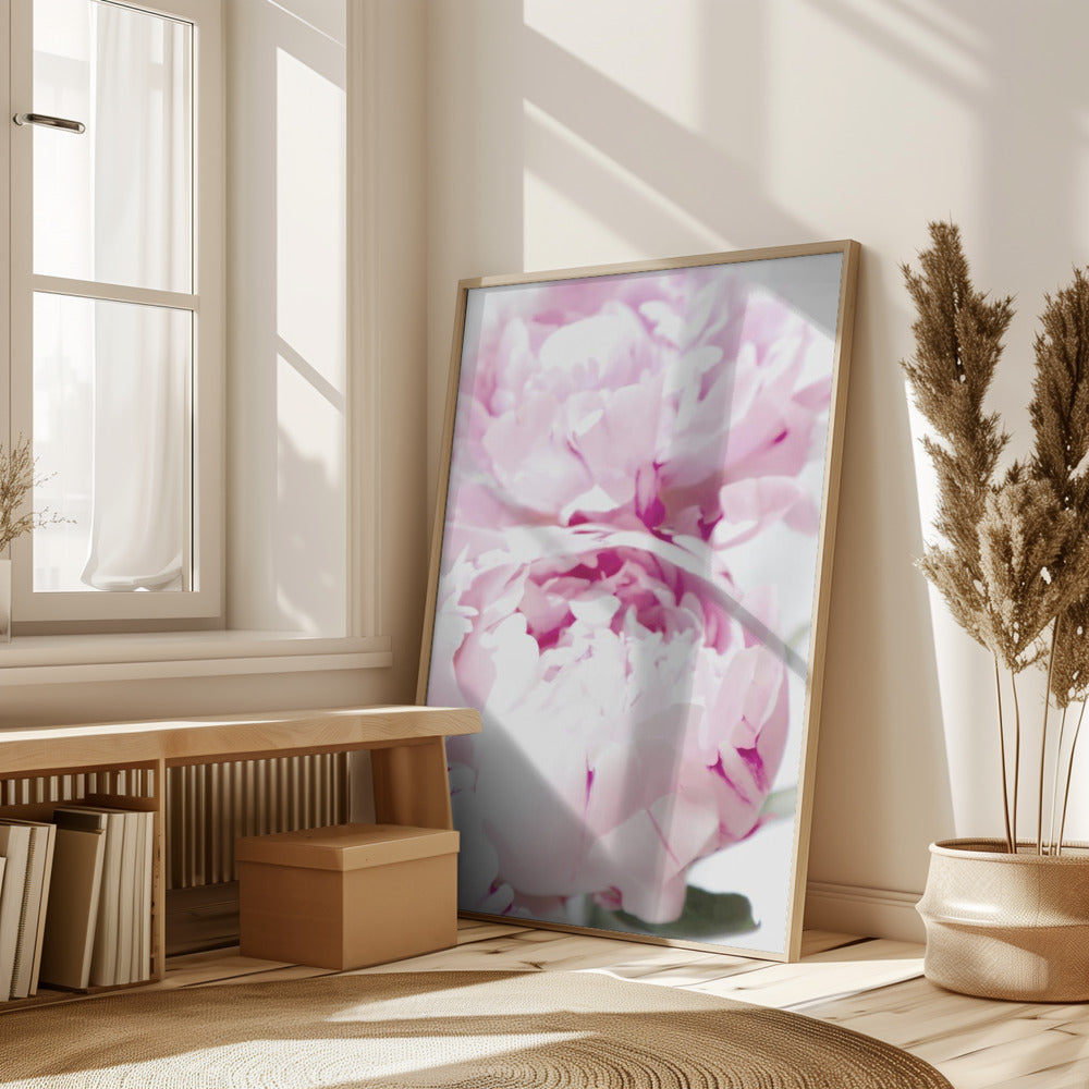 Subdued peony X Poster