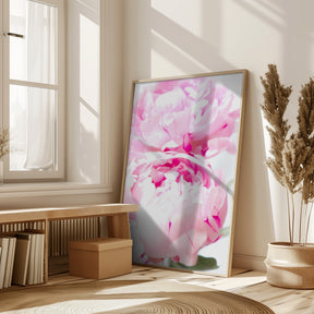 Pink peony X Poster