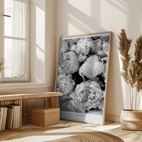 Smile and dream peonies BW Poster