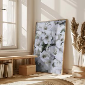 Distressed freesias V Poster