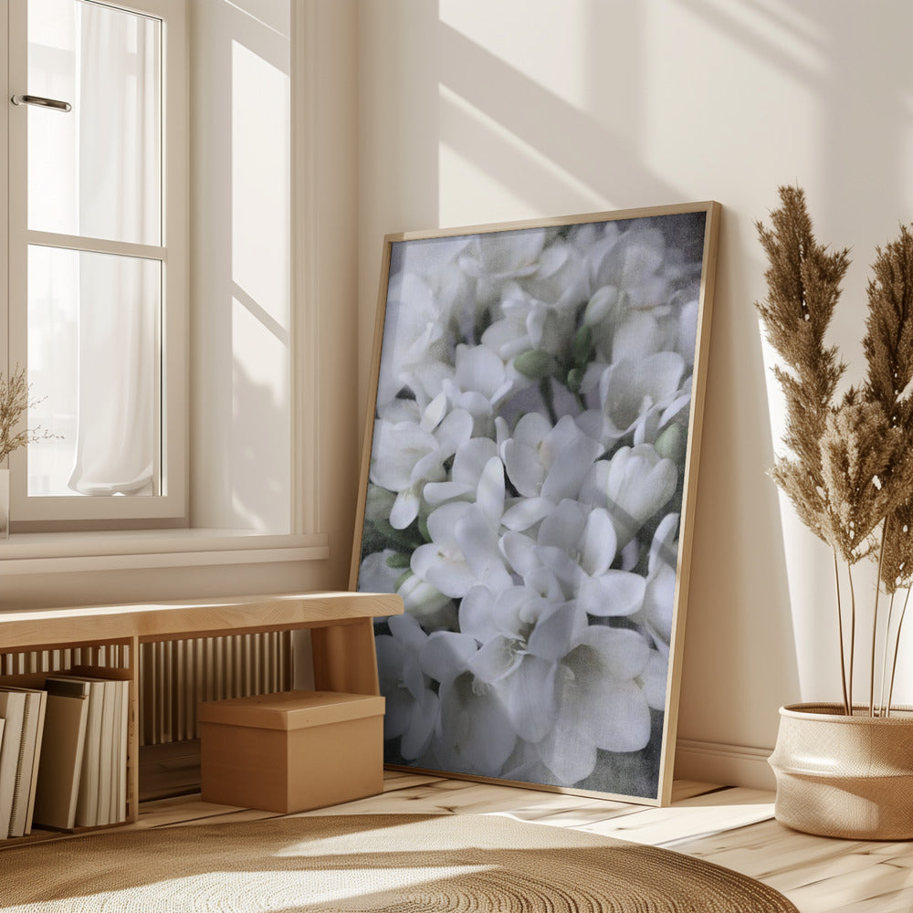 Distressed freesias IV Poster