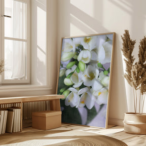 Distressed freesias I Poster