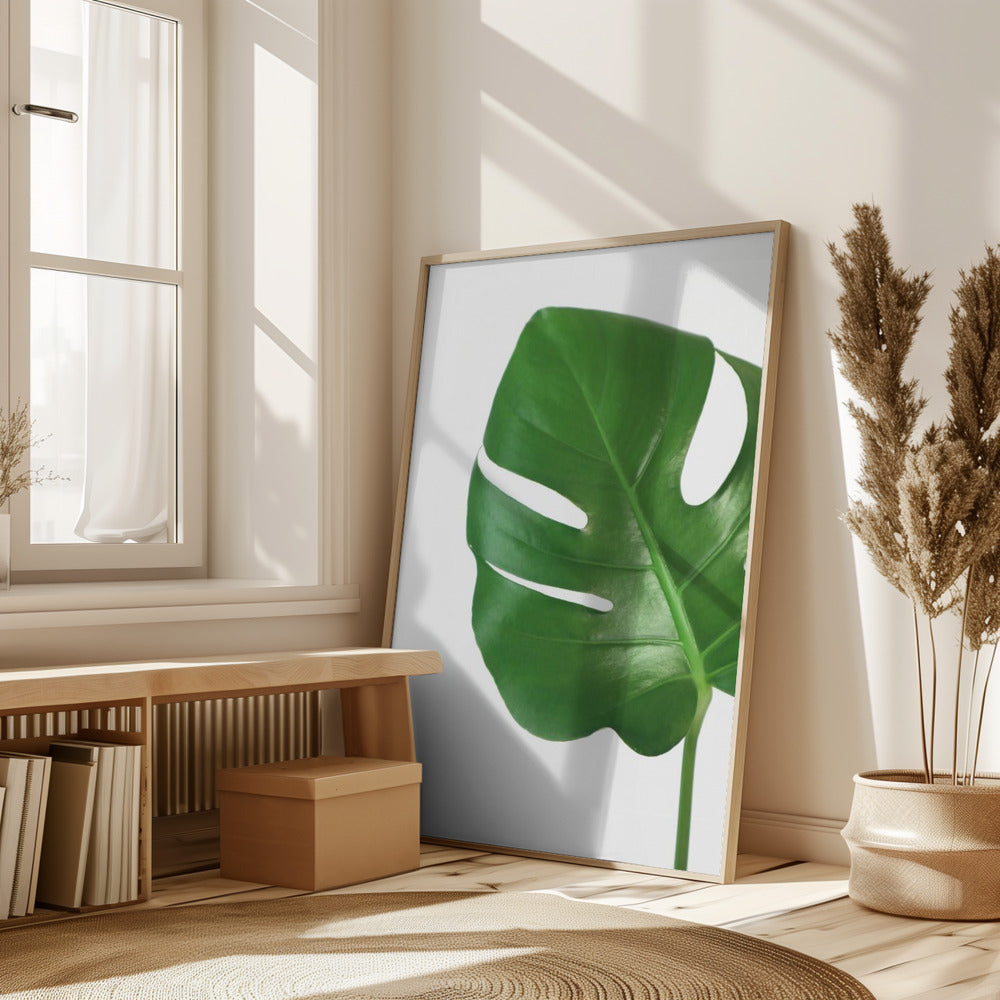 Bright green monstera leaf Poster