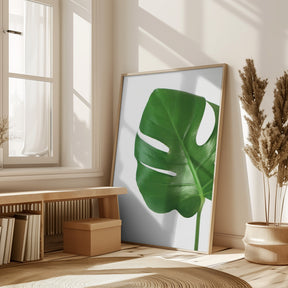 Bright green monstera leaf Poster