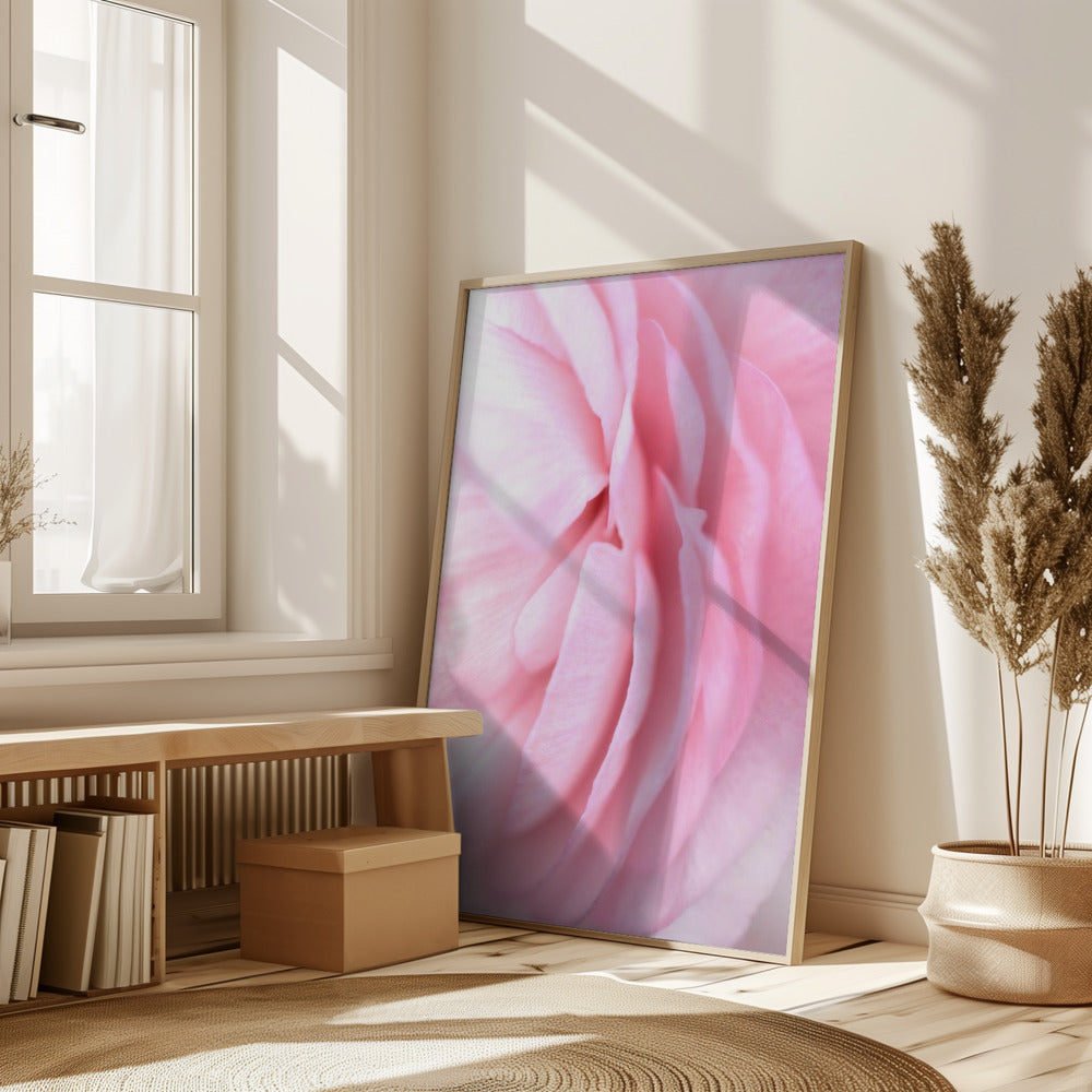 Soft pink petals Poster