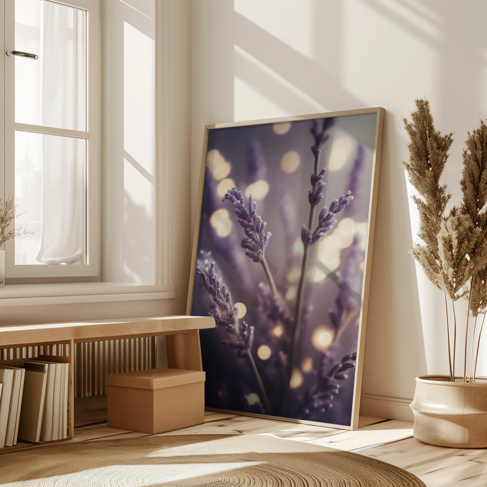 Lavender Detail Poster